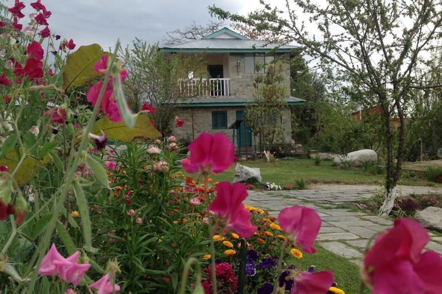 Nagri Resort ปาแลมปูร์ ภายนอก รูปภาพ