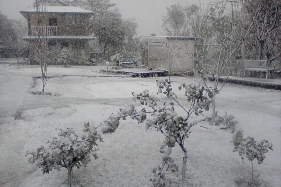 Nagri Resort ปาแลมปูร์ ภายนอก รูปภาพ