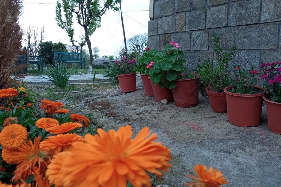 Nagri Resort ปาแลมปูร์ ภายนอก รูปภาพ