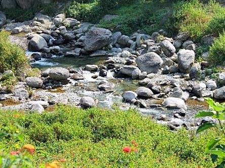 Nagri Resort ปาแลมปูร์ ภายนอก รูปภาพ
